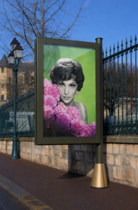 Vitrine d'affichage VISTA 01