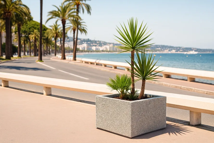 Bacs à fleurs en béton carré