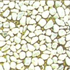 Finition Gravillon blanc Carrare
