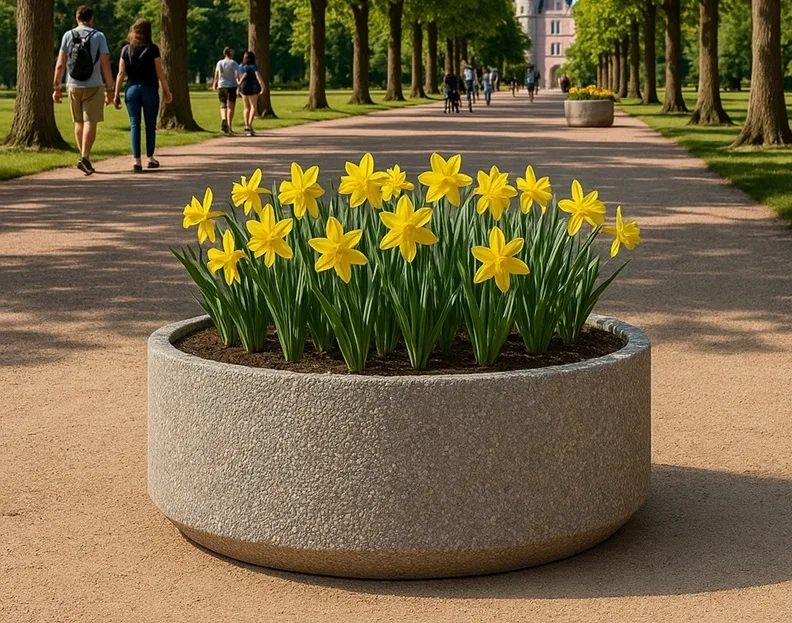 Jardinières rondes sans fond en béton