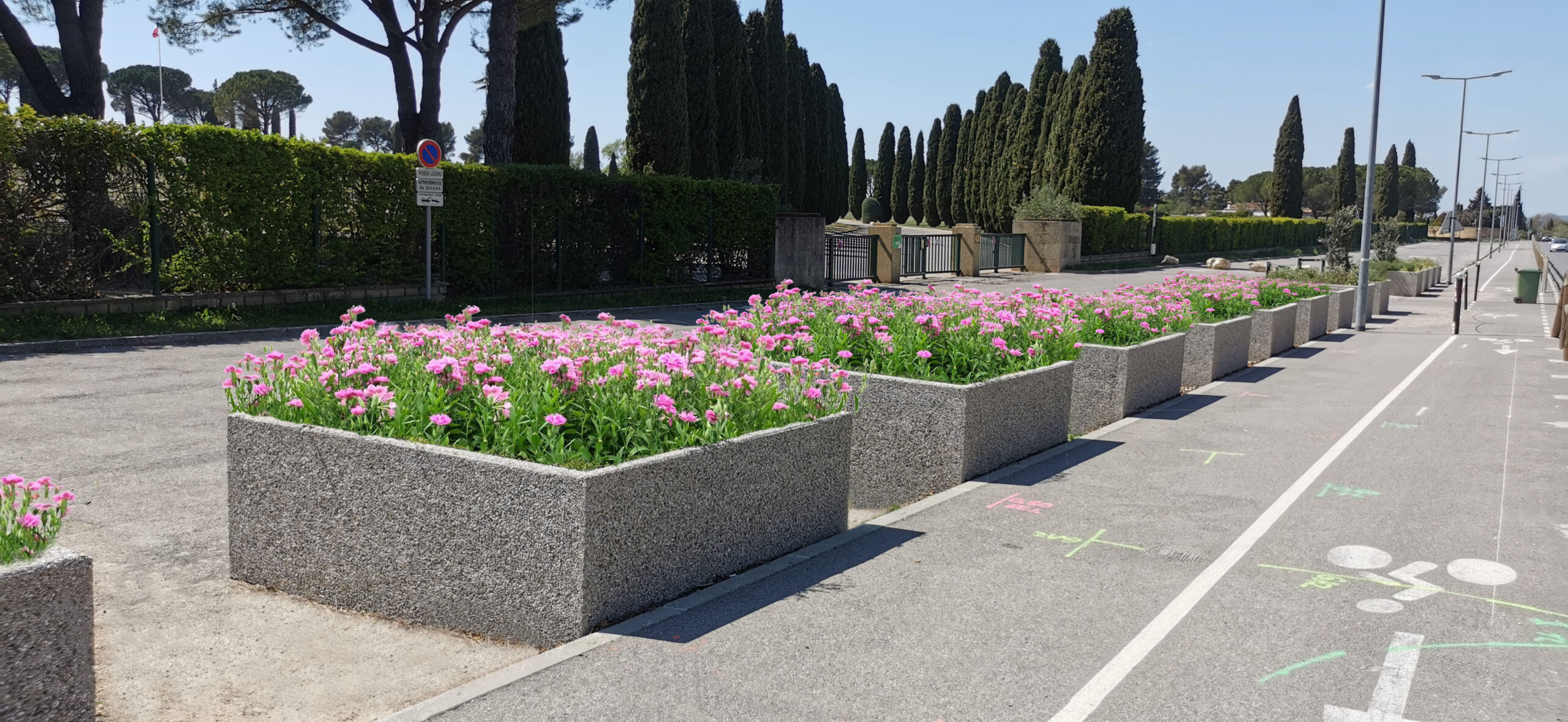 Bacs à fleurs en béton carré