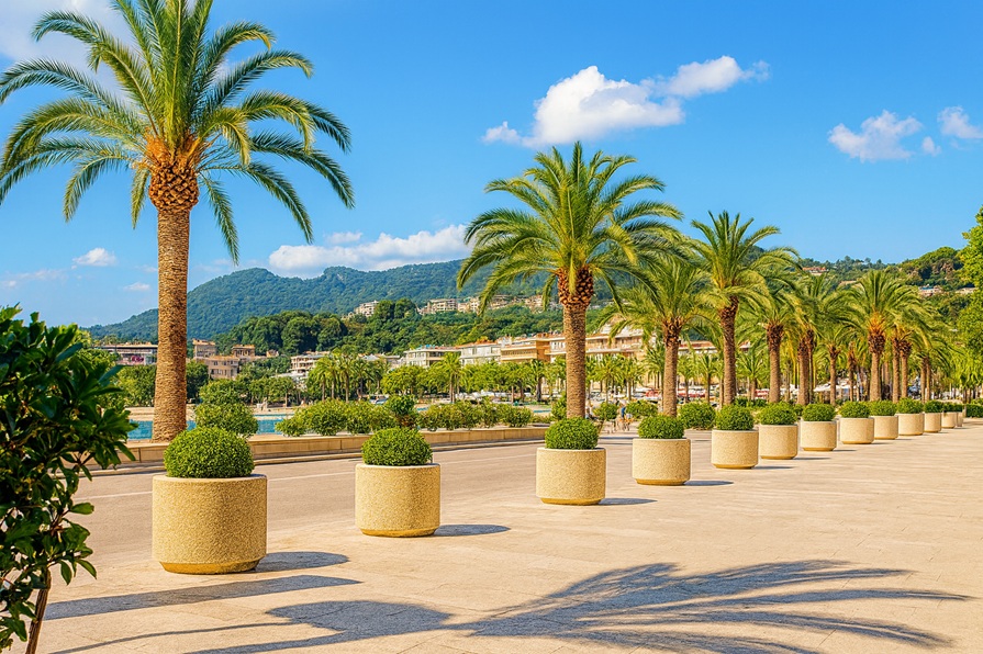 Jardinière  rondes en béton